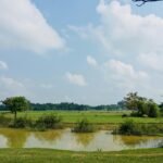 Assamese People: A Culture Rooted in Harmony, Heritage & Hospitality